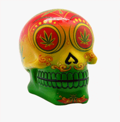 DAY OF THE DEAD/LEAF EYES COLOR BANK
